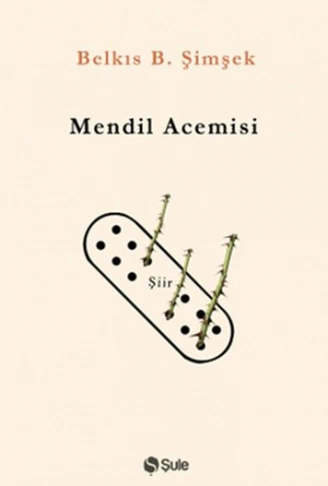 Kitap: Mendil Acemisi