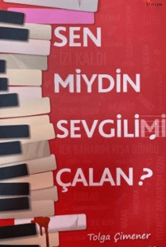Kitap: Sen miydin Sevgilimi Çalan?