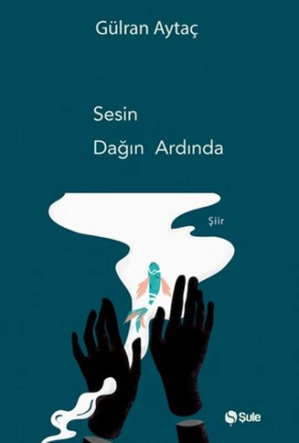 Kitap: Sesin Dağın Ardında