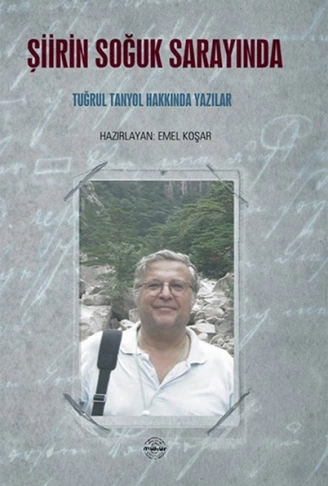 Kitap: Şiirin Soğuk Sarayında