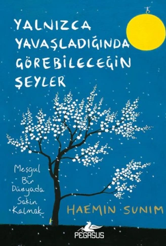 Kitap: Yalnızca Yavaşladığında Görebileceğin Şeyler (Ciltli)