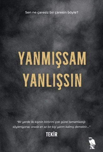 Kitap: Yanmışsam Yanlışsın