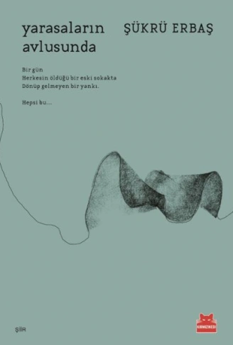 Kitap: Yarasaların Avlusunda