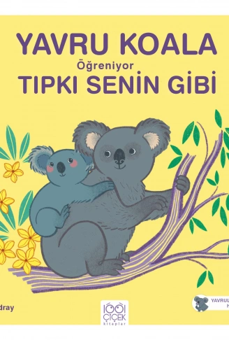 Kitap: Yavru Koala Öğreniyor Tıpkı Senin Gibi