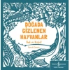 Kitap: Doğada Gizlenen Hayvanlar Bul ve Keşfet