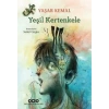 Kitap: Yeşil Kertenkele