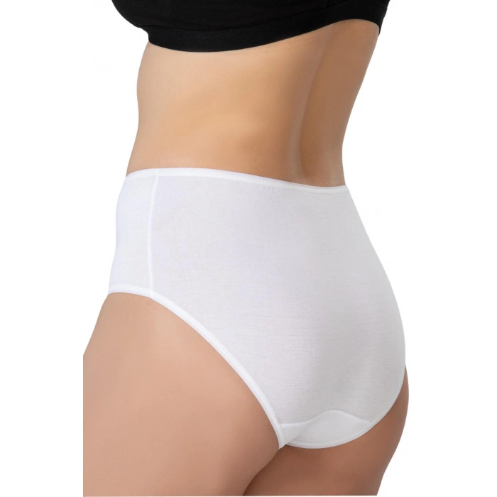 BEYAZ MI Emay 1442 Modal Coton Yüksekbel Külot