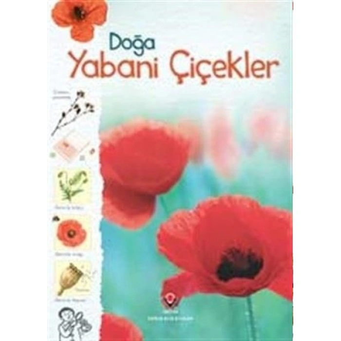 Kitap: Doğa-Yabani Çiçekler