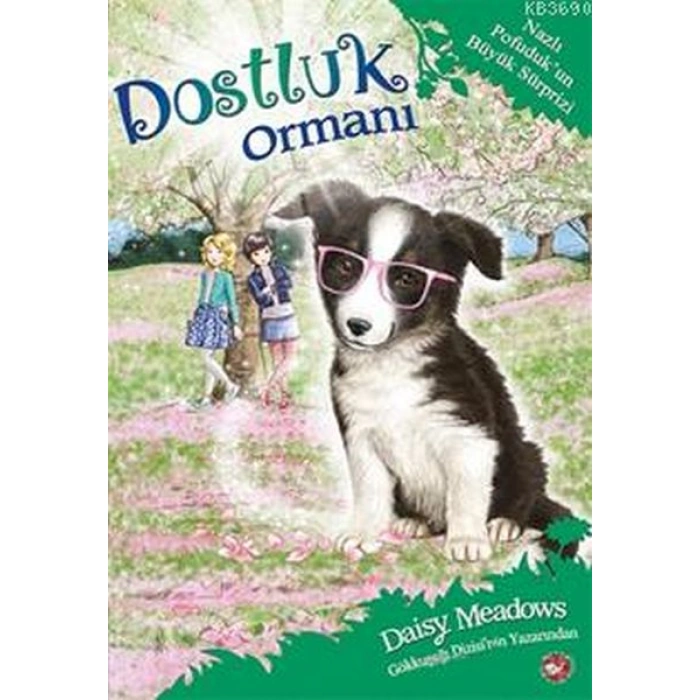 Kitap: Dostluk Ormanı 10 - Nazlı Pofudukun Büyük Sürprizi
