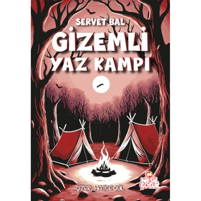 Kitap: Gizemli Yaz Kampı