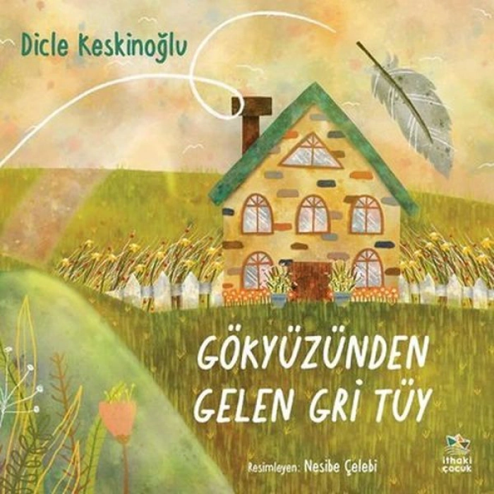 Kitap: Gökyüzünden Gelen Gri Tüy