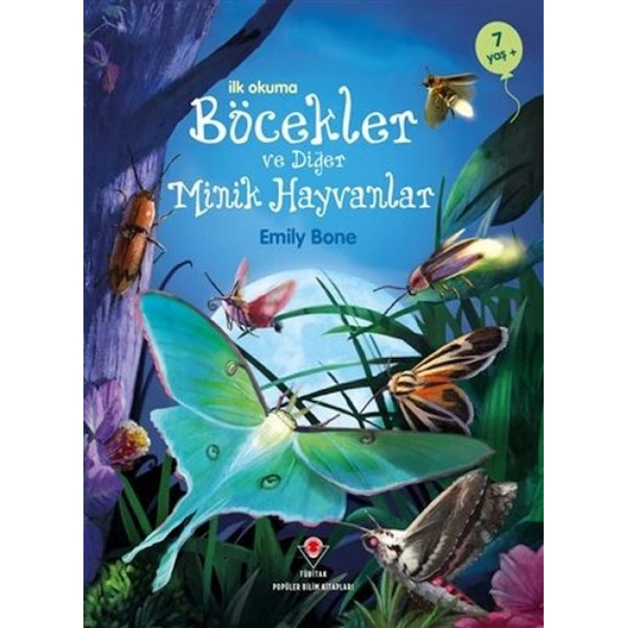 Kitap: İlk Okuma - Böcekler ve Diğer Minik Hayvanlar