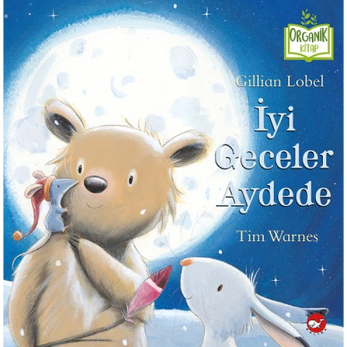 Kitap: İyi Geceler Aydede