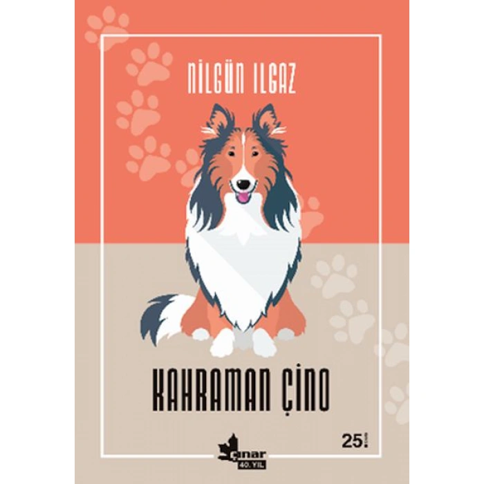 Kitap: Kahraman Çino