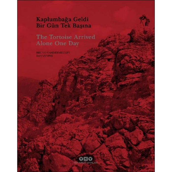 Kitap: Kaplumbağa Geldi Bir Gün Tek Başına