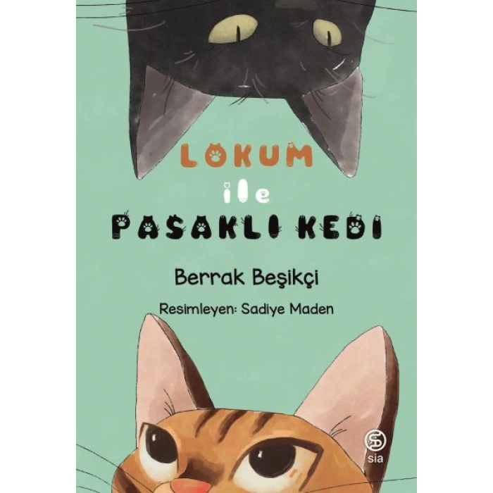 Kitap: Lokum ile Pasaklı Kedi