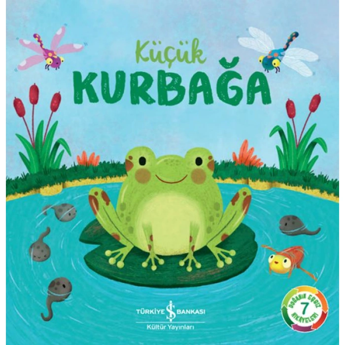 Kitap: Küçük Kurbağa