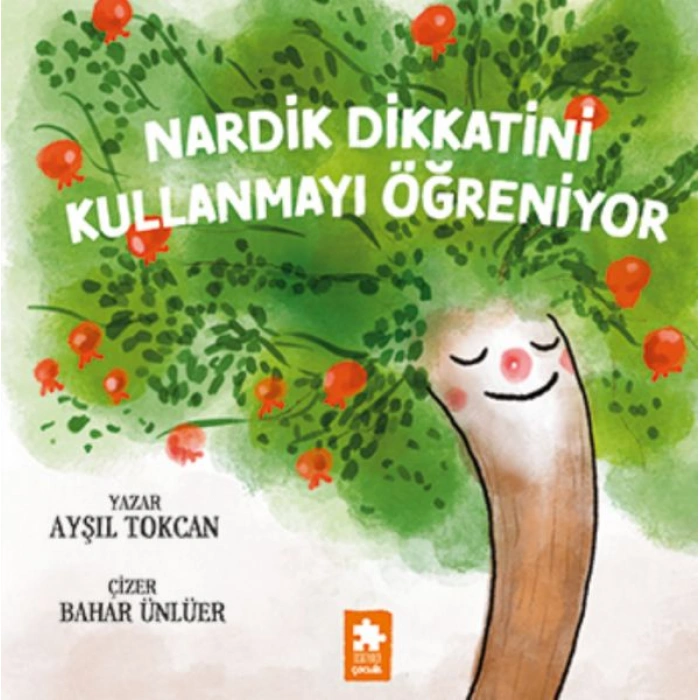 Kitap: Nardik Dikkatini Kullanmayı Öğreniyor