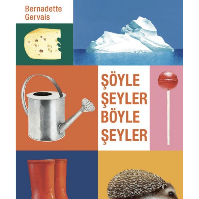 Kitap: Şöyle Şeyler Böyle Şeyler