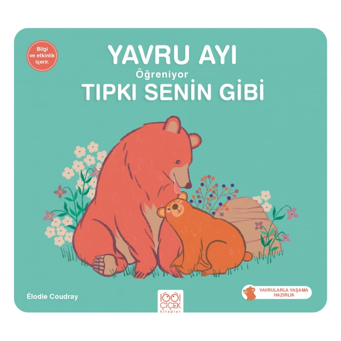 Kitap: Yavru Ayı Öğreniyor Tıpkı Senin Gibi
