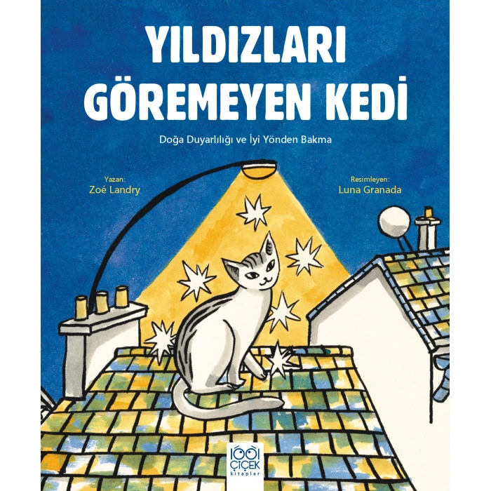 Kitap: Yıldızları Göremeyen Kedi