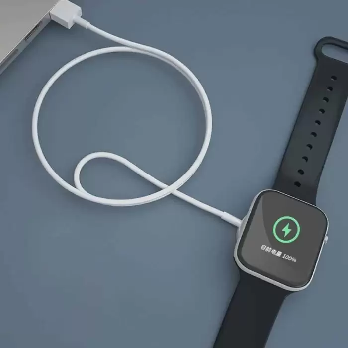 Apple Watch Lopard Type-C Şarj Kablosu