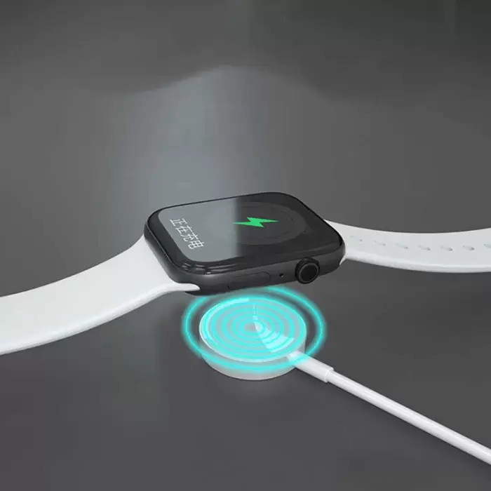 Apple Watch Lopard Type-C Şarj Kablosu