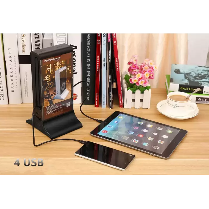 Lopard FYD-835A Masa Üstü Powerbank 40200 Mah