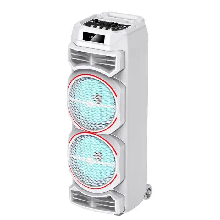 Lopard Gd-2828 Dijital Led Göstergeli Mikrofonlu Rgb Tws Çift 8 İnç Stereo Bass Kablosuz Karaoke Hoparlör