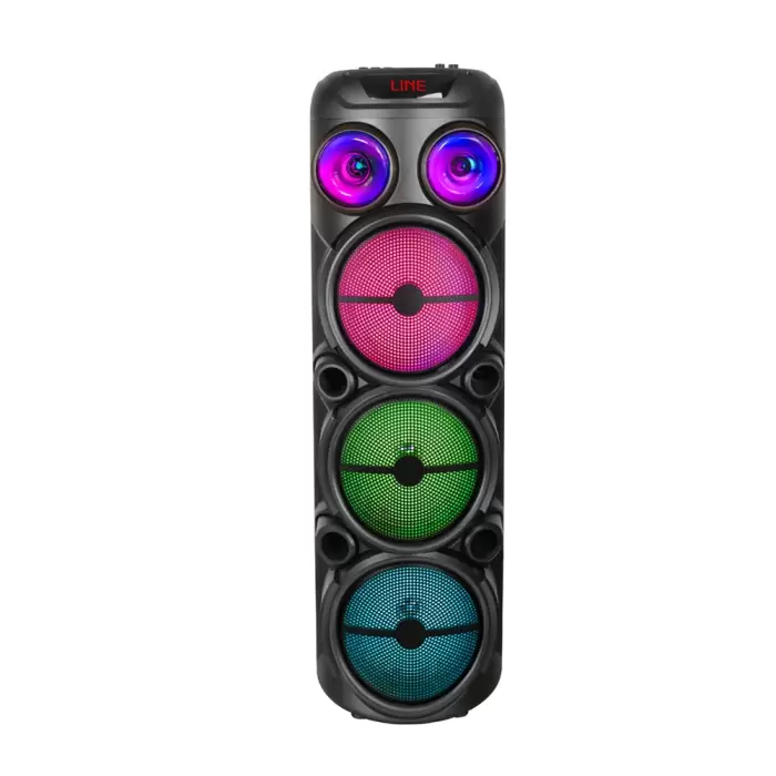Lopard Gd-2887 Dijital Led Göstergeli Mikrofonlu Rgb Tws 8 İnç Stereo Bass Kablosuz Karaoke Hoparlör