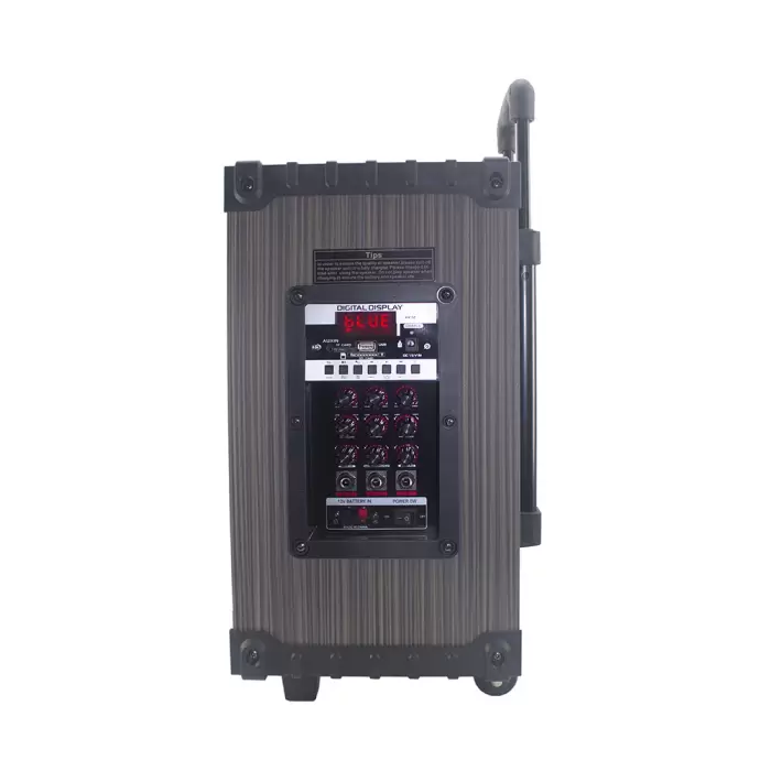 Lopard Lt-908 Dijital Led Göstergeli Fm Radyolu Mikrofonlu Tws 8 İnç Stereo Bass Kablosuz Karaoke Hoparlör