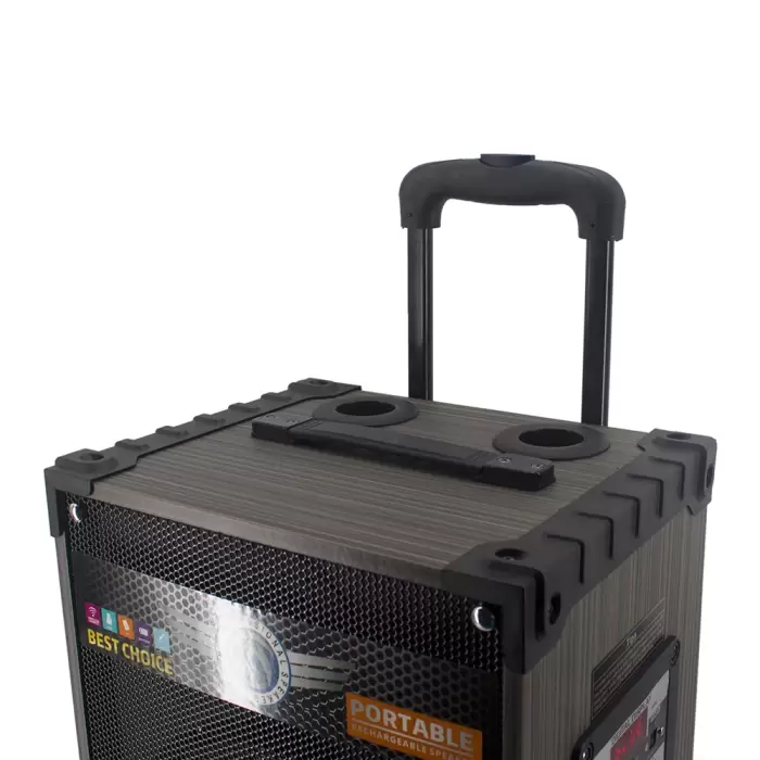 Lopard Lt-910 Dijital Led Göstergeli Fm Radyolu Mikrofonlu Gitar Girişli Tws 10 İnç Stereo Bass Kablosuz Karaoke Hoparlör