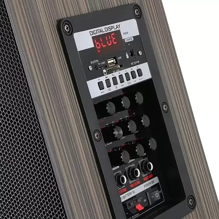 Lopard Lt-910 Dijital Led Göstergeli Fm Radyolu Mikrofonlu Gitar Girişli Tws 10 İnç Stereo Bass Kablosuz Karaoke Hoparlör