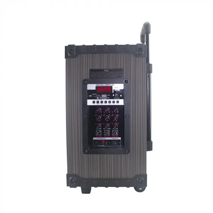 Lopard Lt-910 Dijital Led Göstergeli Fm Radyolu Mikrofonlu Gitar Girişli Tws 10 İnç Stereo Bass Kablosuz Karaoke Hoparlör