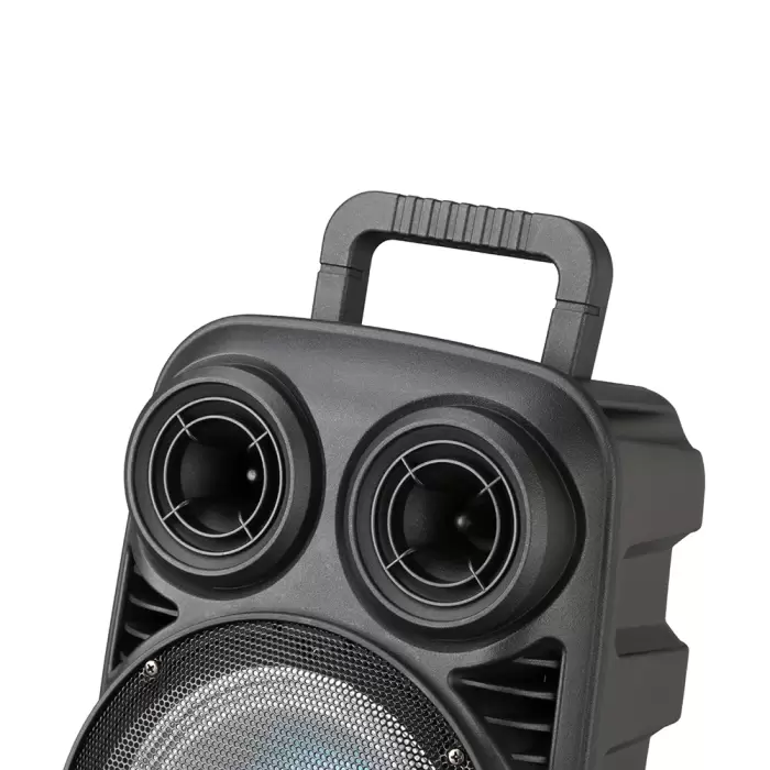Lopard Pk-15 Fm Radyolu Mikrofonlu Rgb Tws 8 İnç Stereo Bass Kablosuz Karaoke Hoparlör