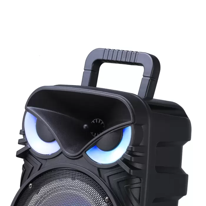 Lopard Pk-17 Fm Radyolu Mikrofonlu Rgb Tws 8 İnç Stereo Bass Kablosuz Karaoke Hoparlör