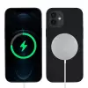 Apple iPhone 12 Mini Kılıf Lopard Silksafe Wireless Kapak