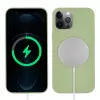 Apple iPhone 12 Pro Max Kılıf Lopard Silksafe Wireless Kapak