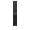 Apple Watch 10 46mm Lopard Krd-100 Titanyum Hasır Kordon