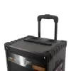 Lopard Lt-910 Dijital Led Göstergeli Fm Radyolu Mikrofonlu Gitar Girişli Tws 10 İnç Stereo Bass Kablosuz Karaoke Hoparlör