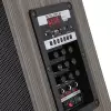 Lopard Lt-910 Dijital Led Göstergeli Fm Radyolu Mikrofonlu Gitar Girişli Tws 10 İnç Stereo Bass Kablosuz Karaoke Hoparlör