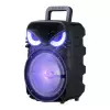 Lopard Pk-17 Fm Radyolu Mikrofonlu Rgb Tws 8 İnç Stereo Bass Kablosuz Karaoke Hoparlör