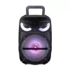 Lopard Pk-17 Fm Radyolu Mikrofonlu Rgb Tws 8 İnç Stereo Bass Kablosuz Karaoke Hoparlör