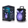 Lopard Pk-17 Fm Radyolu Mikrofonlu Rgb Tws 8 İnç Stereo Bass Kablosuz Karaoke Hoparlör