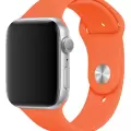 Apple Watch 46mm Seri 10 2024 Klasik Silikon Kordon - Şık ve Dayanıklı