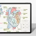 Apple İpad Pro 13 2024 Kağıt Hisli Benks Mat Paper-like Ekran Koruyucu