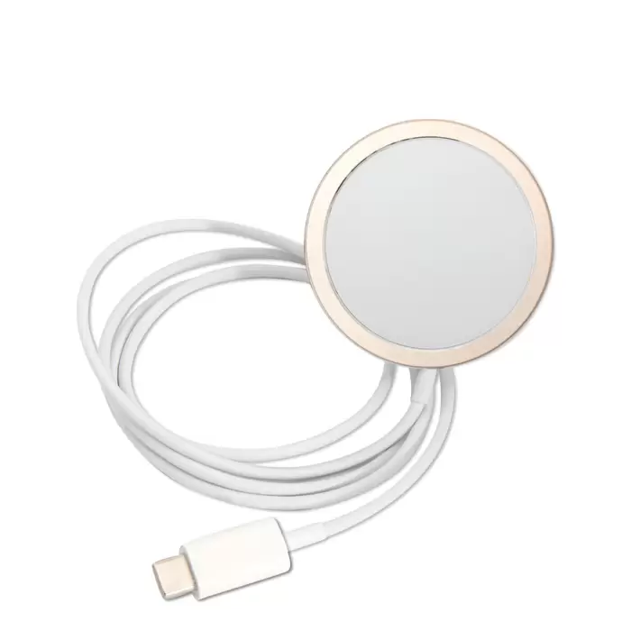 Apple İphone 14 Pro Kılıf Guess Magsafe Şarj Özellikli Yaprak Desenli Magsafe Şarj Kablolu Kapak
