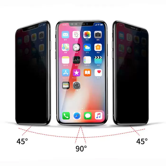 Apple iPhone X ​​​​​​​​​​​​Uyumlu Hayalet Gizlilik Filtreli Tam Kapatan Rika Premium Cam Ekran Koruyucu