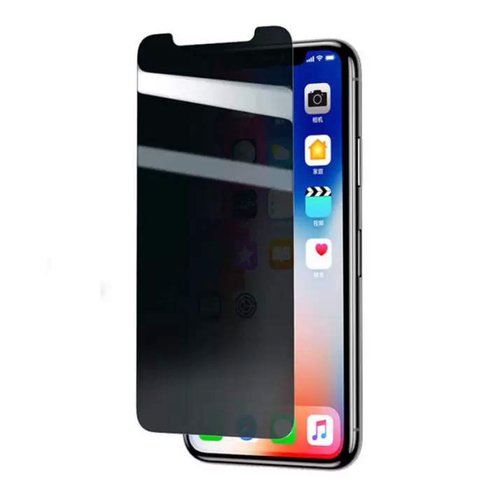 Apple iPhone X ​​​​​​​​​​​​Uyumlu Hayalet Gizlilik Filtreli Tam Kapatan Rika Premium Cam Ekran Koruyucu