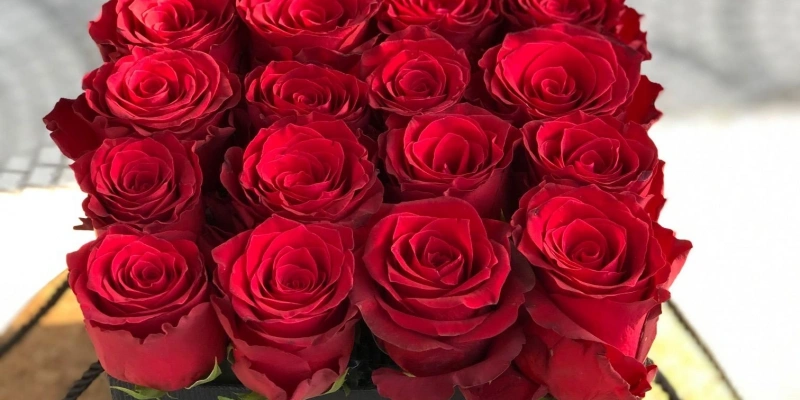 اختيارات الزهور للذكرى السنوية